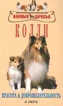 Колли.Красота и доброжелательность