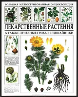 Лекарственные растения