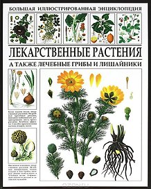 Лекарственные растения