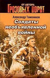 Солдаты необъявленной войны: роман