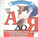 Развивающие игры и упражнения для собаки