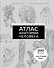 Популярный атлас анатомии человека. Анатомия Грея. 200 классических иллюстраций - 0