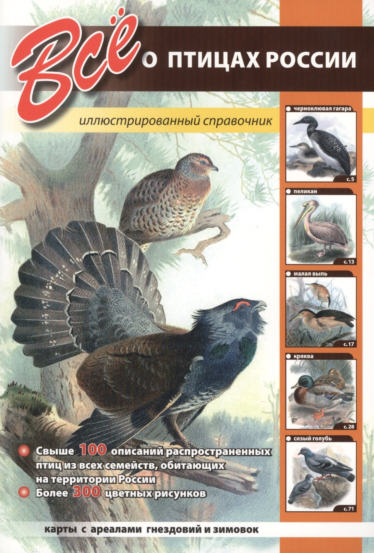 

Всё о птицах России