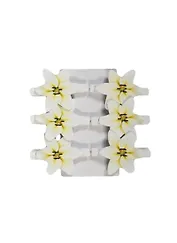 Набор Прищепки декор Садовые цветы микс (124442) (6шт) (упаковка)