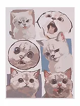 Картина по номерам "Стикерпак кот", на подрамнике, 30х40 см