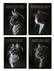 Тетрадь B5 36л лин. "Particle cat", ассорти