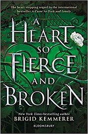 A Heart So Fierce and Broken