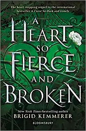 A Heart So Fierce and Broken