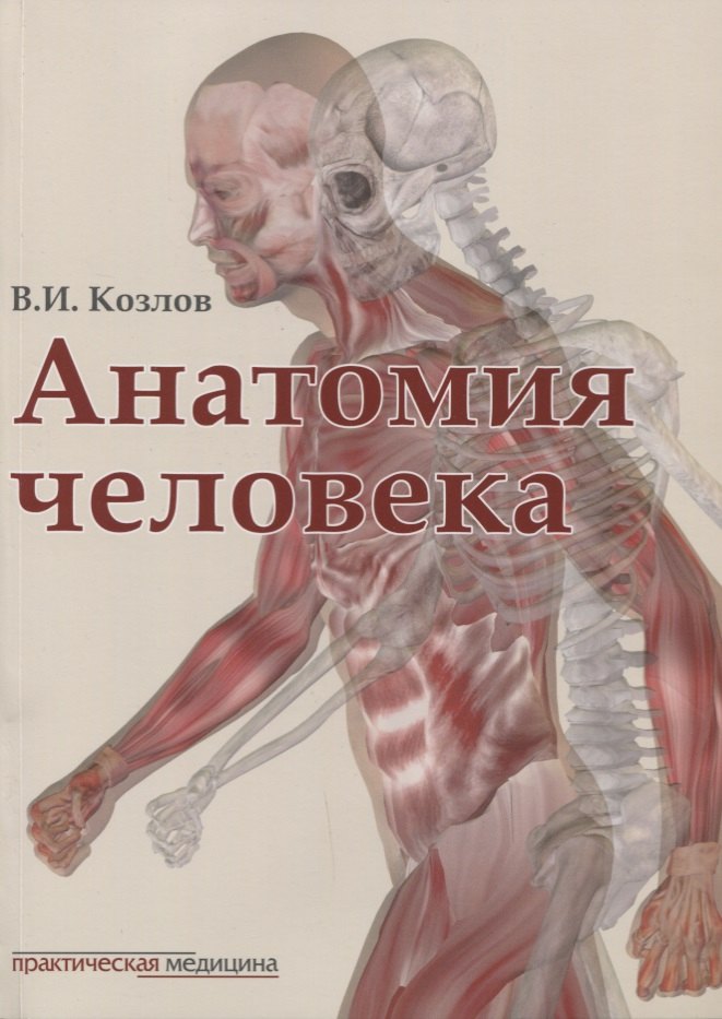 

Анатомия человека: учебник
