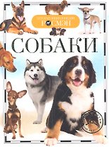 Собаки