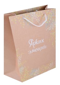 Пакет А4 32*23*9 "Ярких эмоций" крафт, женск.