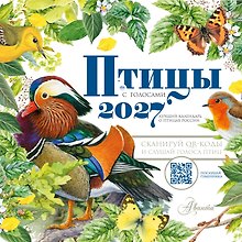 Календарь Птицы с голосами 2027 год