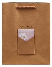 Пакет А5 23*18*10 "Envelope" нейтр., бум.мат