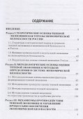 Теоретико-методологические основы оценки теневой экономики при обеспечении экономической безопасности России - 1