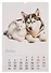 Календарь 2026г 320*480 "Котята и щенки" настенный, на спирали - 1