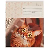 Тетрадь в линейку Unnika, "Мой котик", 24 листа, в ассортименте