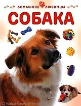 Собака / (мягк) (Домашние любимцы). Рейнер М. (Аст-Пресс)