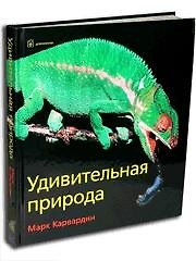Удивительная природа.