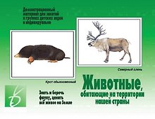 Животные, обитающие на территории нашей страны. Демонстрационный материал для занятий в группах детских садов и индивидуально