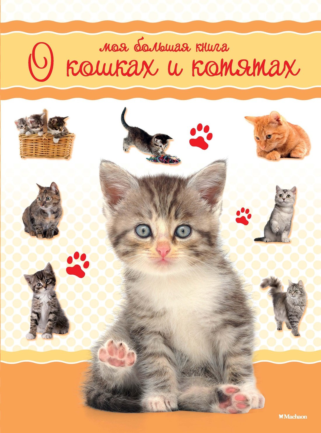 

Моя большая книга о кошках и котятах