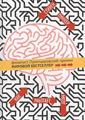Как работает мозг