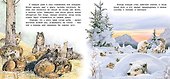 Приключения волчонка - 1