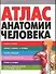 Атлас анатомии человека - 0