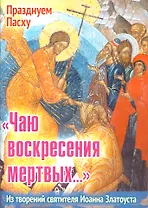 Чаю воскресения мертвых Из творений святителя Иоанна Златоуста (мПрПасху) Ходаков