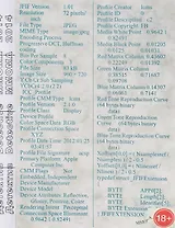 Детектив. Detective. Альбом (книга на русском и английском языках)