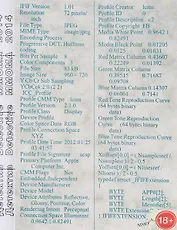 Детектив. Detective. Альбом (книга на русском и английском языках)