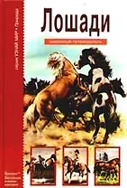 Лошади.