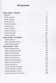 Опасные странствования. Исторический авантюрный роман - 1