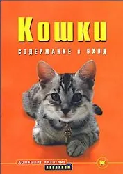 Кошки: Содержание и уход