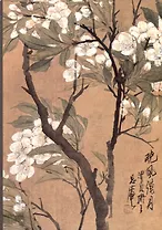 Тетрадь нелинованная "Белые цветы на коричневом фоне", B5, 32 листа