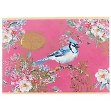 Альбом для рисования Hatber, "Райские пташки", А4, 40 листов, в ассортименте