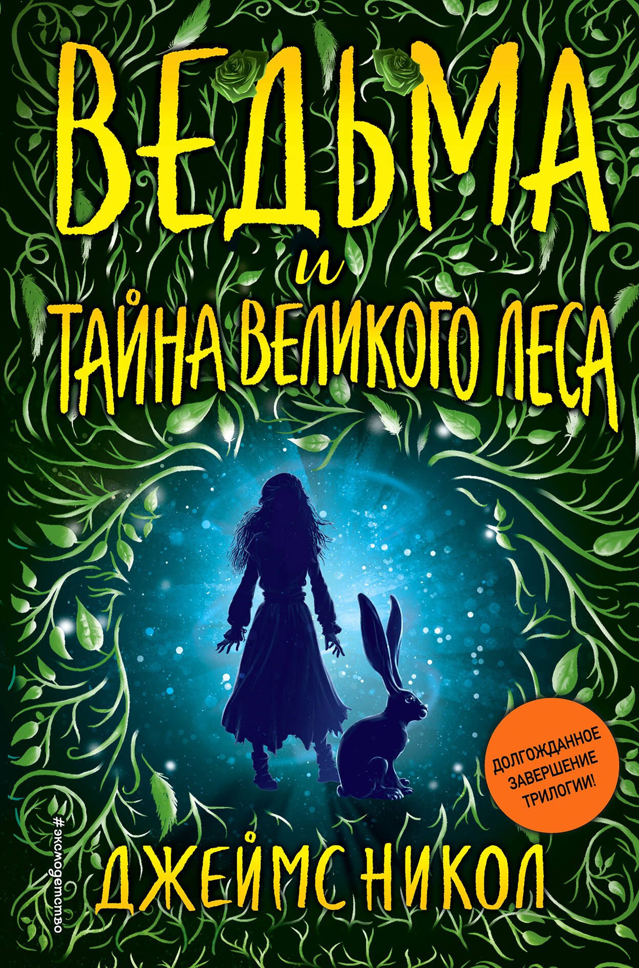 

Ведьма и тайна Великого леса (#3)