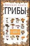 Большая книга. Грибы - 0