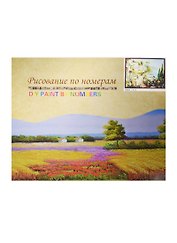 Набор для раскрашивания по номерам (GX6209) (7706728) (40х50см) (коробка)