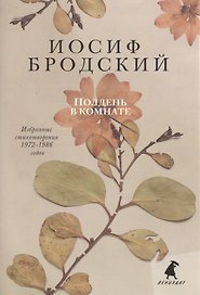 Полдень в комнате