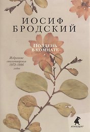 Полдень в комнате