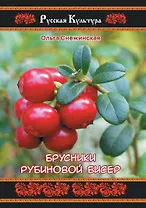 Брусники рубиновой бисер