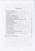Два таракана. Эссеистика и критика - 2