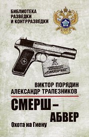 Смерш - абвер. Охота на Гиену: роман