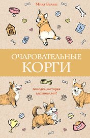Очаровательные корги: походка, которая вдохновляет!