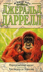 Перегруженный ковчег.Три билета до Эдвенчер