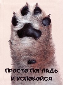 Записная книжка «Просто погладь» А6, 80 листов в клетку, Listoff