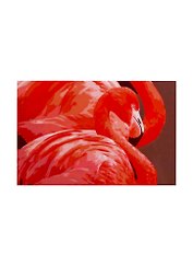 Набор ТМ Рыжий кот Раскраска на картоне А3 (в коробке) Прекрасные фламинго (Арт. Р-2562)