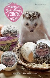Блокнот «Мои милые ежи», Эксмо