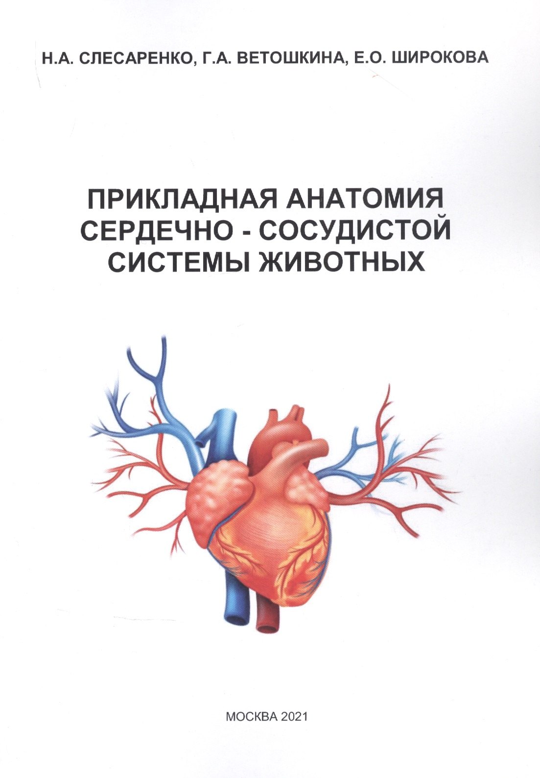

Прикладная анатомия сердечно-сосудистой системы животных