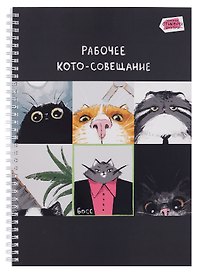 Тетрадь общая «Кото - совещание», 80 листов в клетку, А4 - Listoff